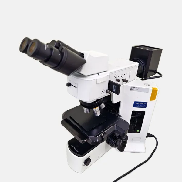 Optical Microscope